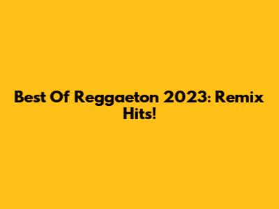 Best Of Reggaeton 2023: Remix Hits!