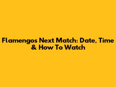 Flamengo's Next Match: Date, Time & How To Watch