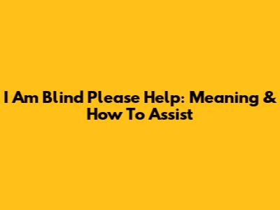 I Am Blind Please Help: Meaning & How To Assist