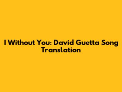I Without You: David Guetta Song Translation