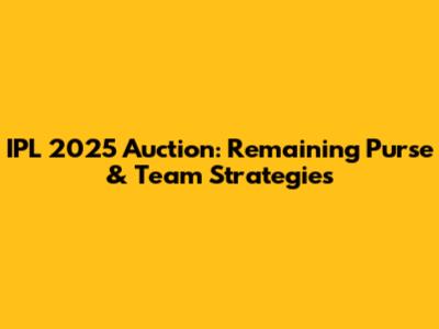 IPL 2025 Auction: Remaining Purse & Team Strategies