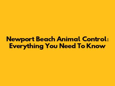 Newport Beach Animal Control: Everything You Need To Know