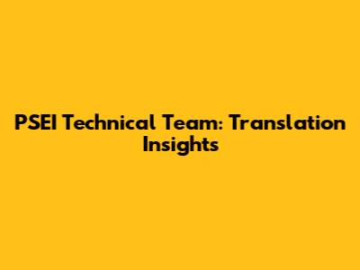PSEI Technical Team: Translation Insights